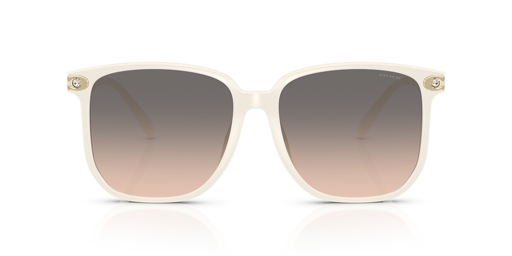 Ivory Solid