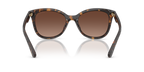 Dark Tortoise