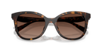 Dark Tortoise