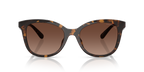Dark Tortoise