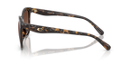 Dark Tortoise