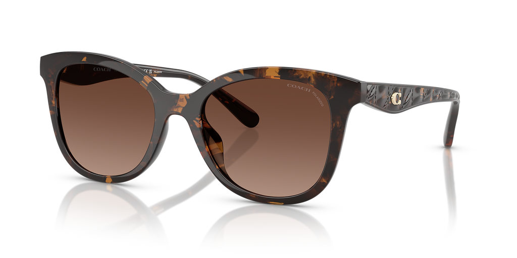Dark Tortoise