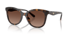 Dark Tortoise