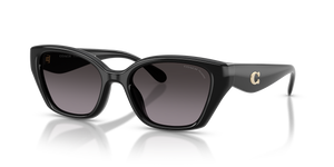Black  - Grey Gradient Polar