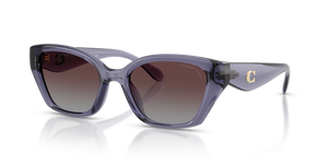 Transparent Violet  - Purple Grey Gradient Polarized
