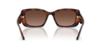 Dark Tortoise