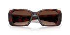 Dark Tortoise