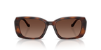 Dark Tortoise