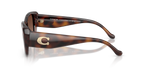 Dark Tortoise
