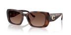 Dark Tortoise