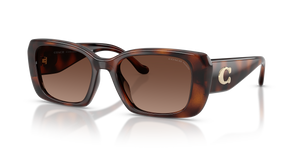 Dark Tortoise  - Brown Gradient Polar