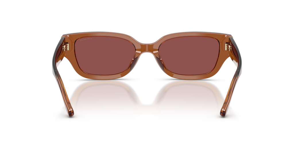 Transparent Brown