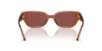 Transparent Brown