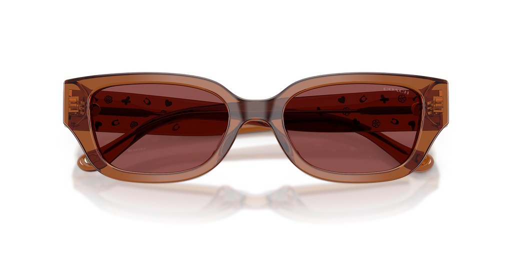 Transparent Brown