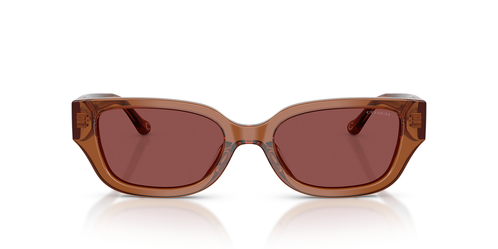 Transparent Brown