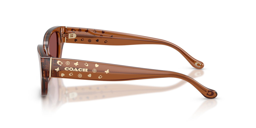 Transparent Brown