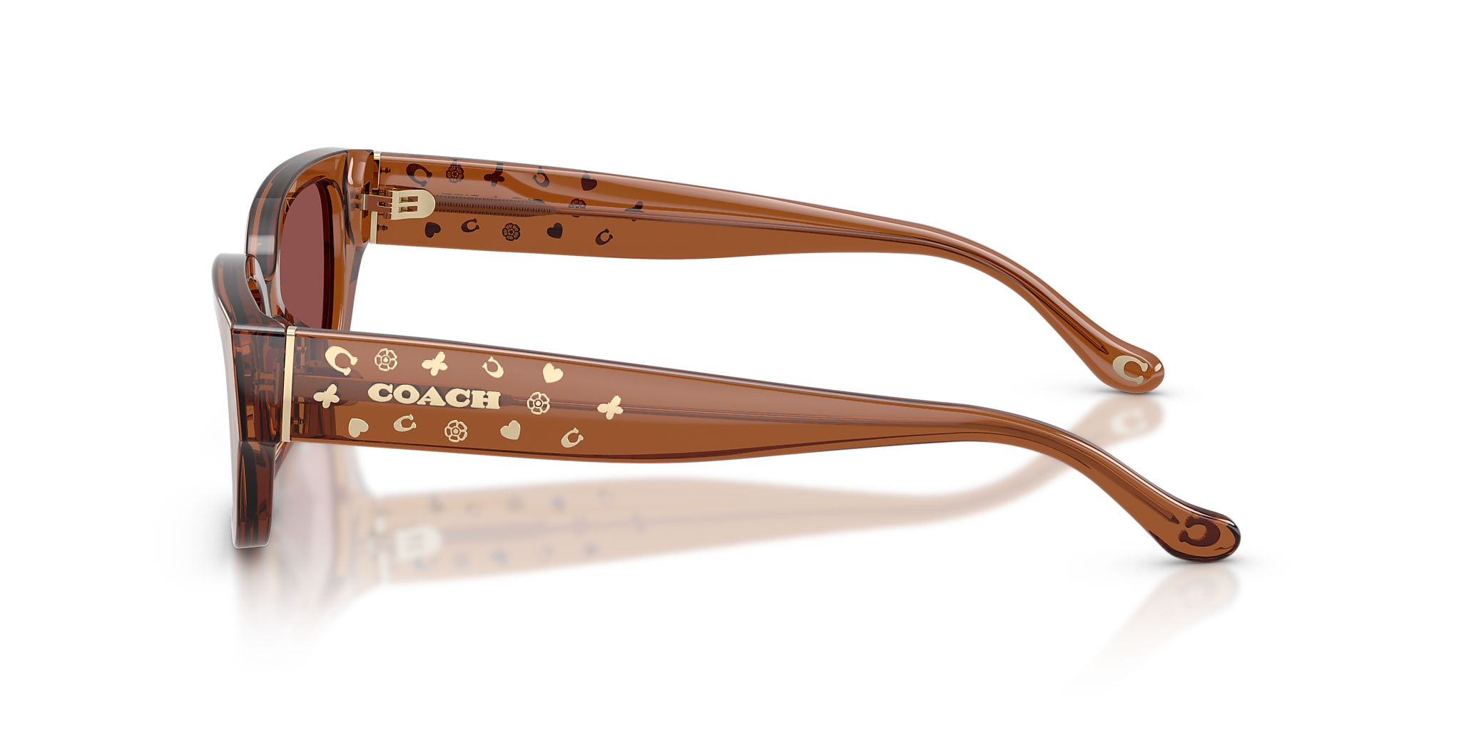 Transparent Brown