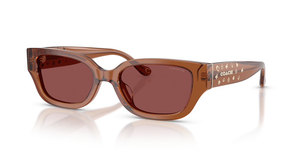 Transparent Brown