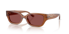 Transparent Brown