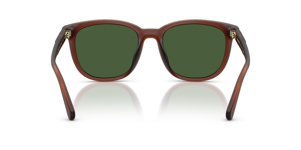 Matte Transparent Brown