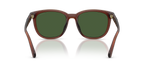 Matte Transparent Brown
