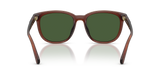 Matte Transparent Brown