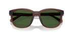 Matte Transparent Brown