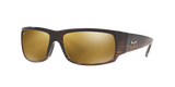 Chocolate Havana Fade