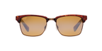 Tortoise Gold