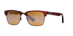 Tortoise Gold