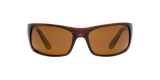 Tortoise Bronze