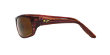 Tortoise Bronze