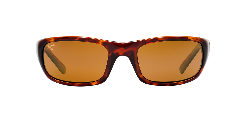 Tortoise Bronze