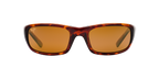 Tortoise Bronze