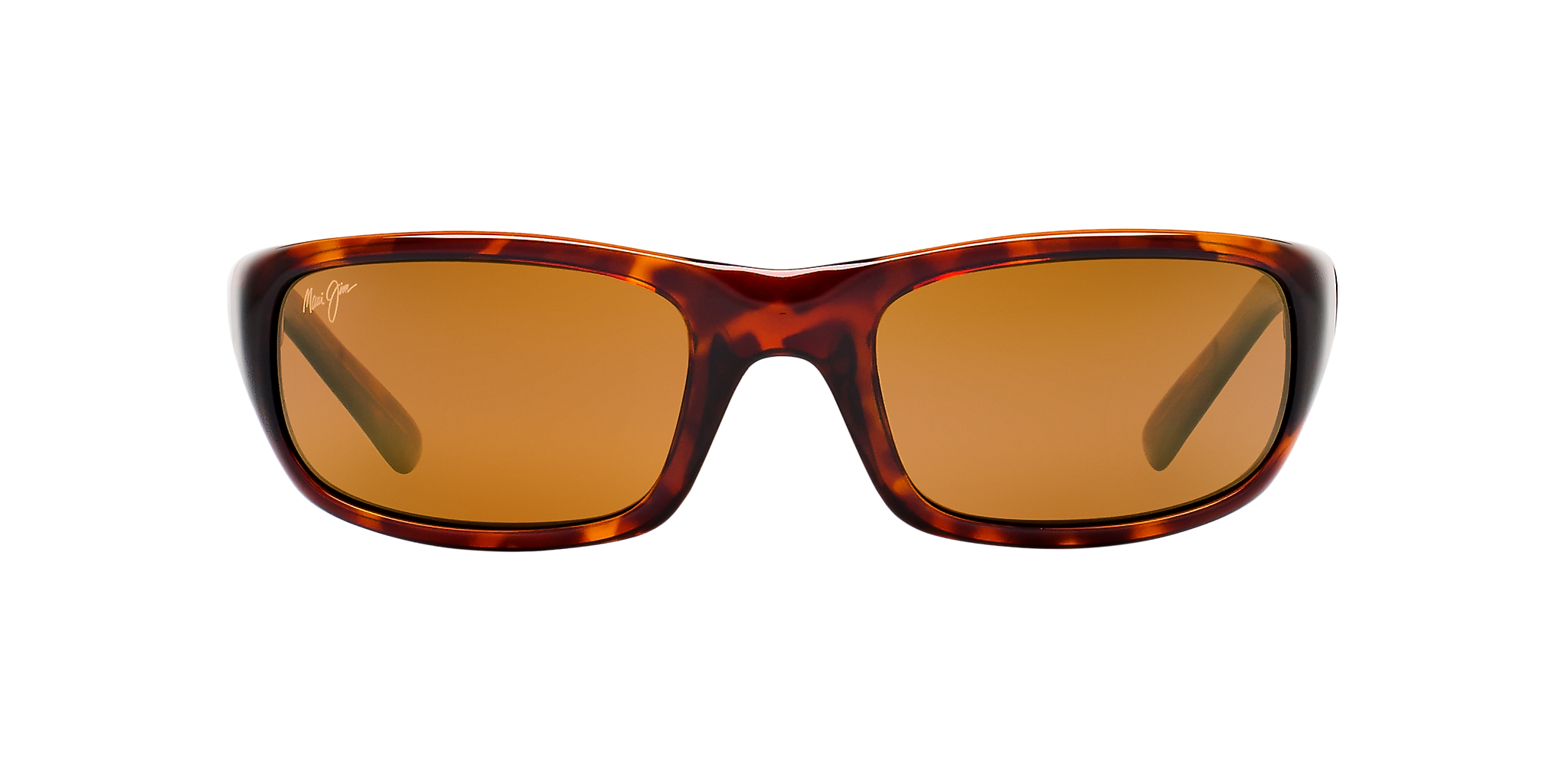 Tortoise Bronze