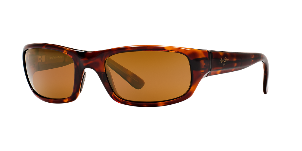 Tortoise Bronze