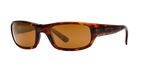 Tortoise Bronze