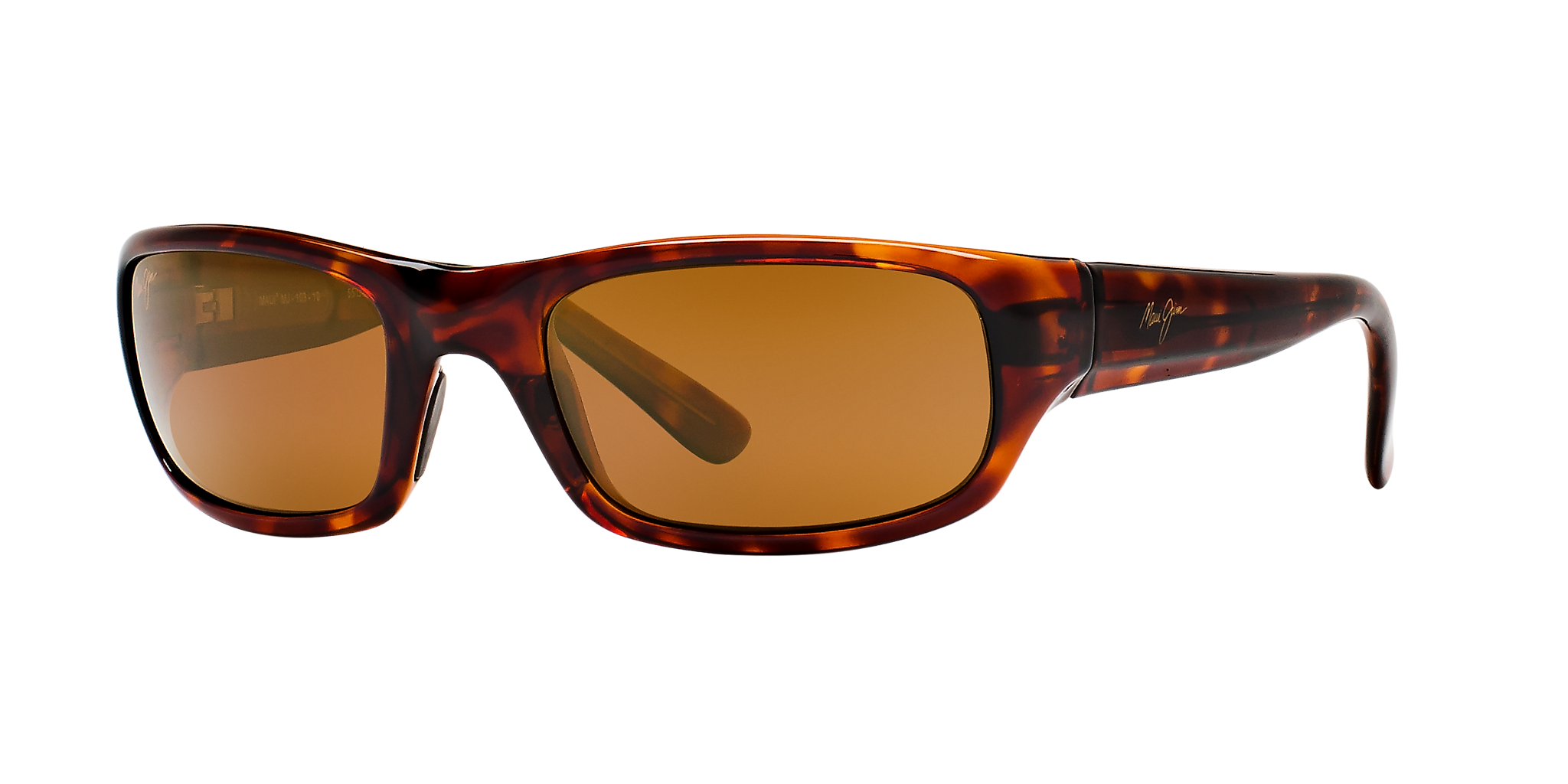 Tortoise Bronze