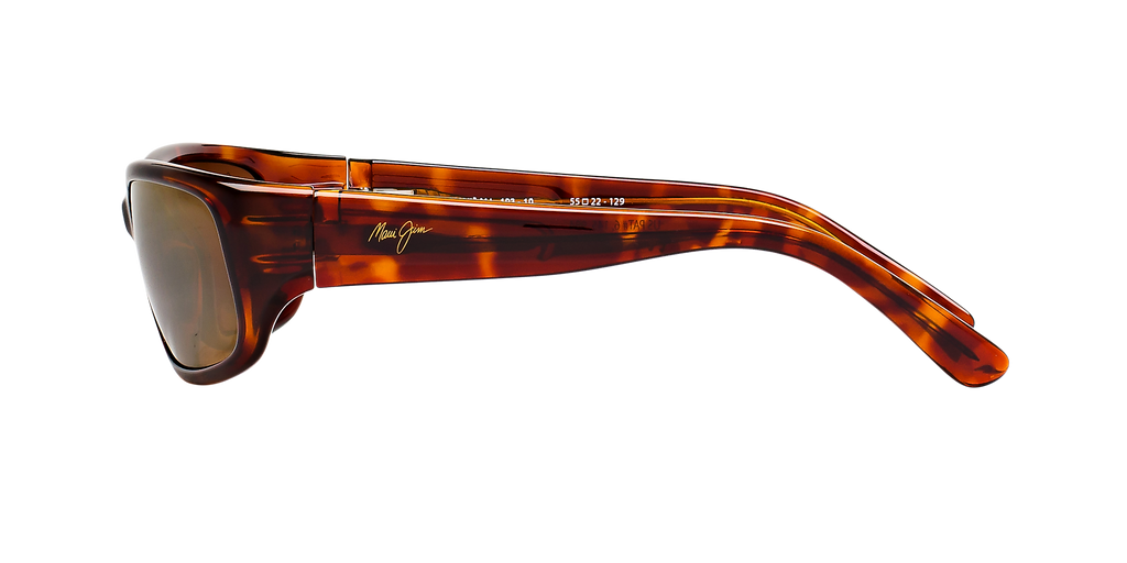 Tortoise Bronze