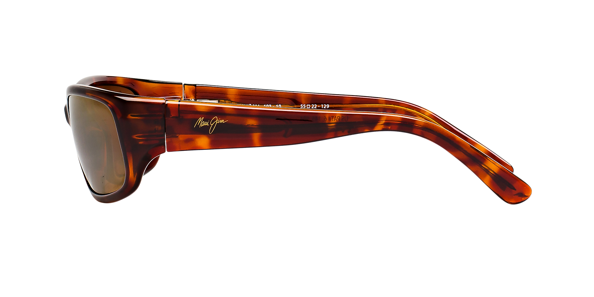 Tortoise Bronze