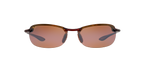 Tortoise Brown