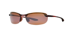 Tortoise Brown