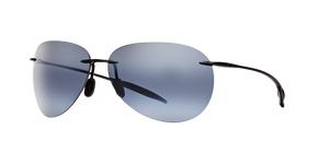 Black Shiny  - Grey Mirror Polar