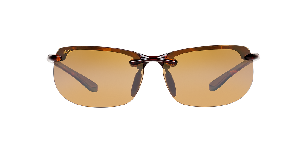 Tortoise Brown