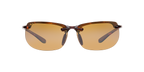 Tortoise Brown
