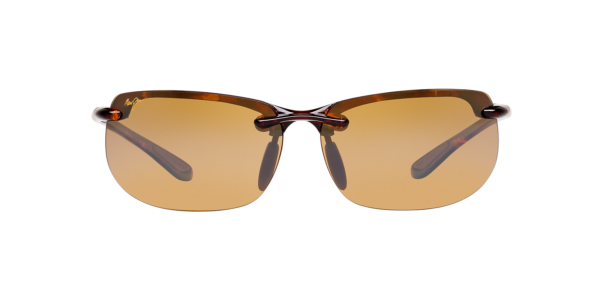 Tortoise Brown