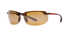 Tortoise Brown