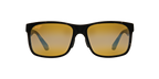 Tortoise Black