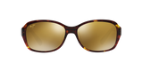 Tortoise Brown