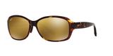 Tortoise Brown
